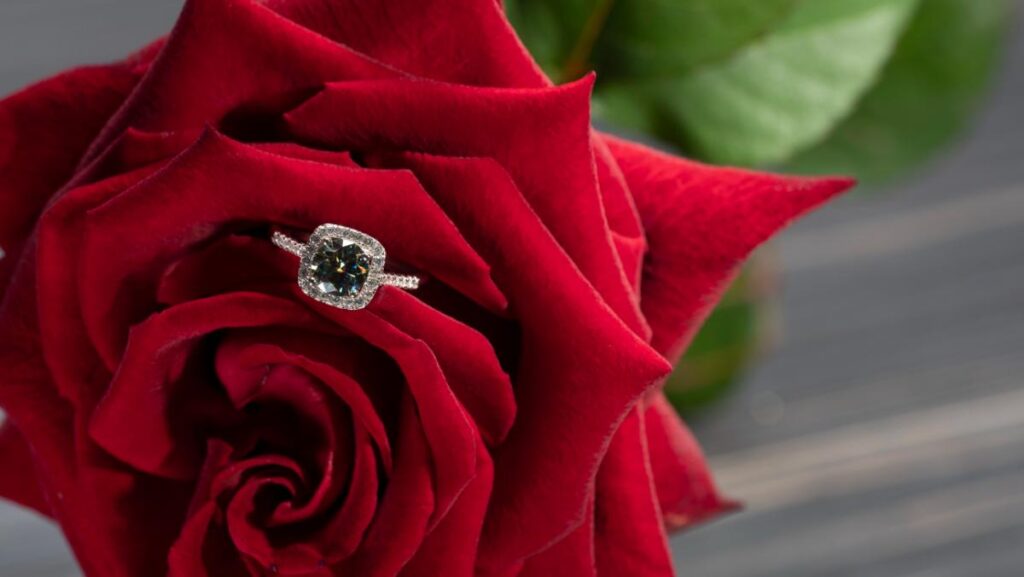 pretty ring tucked within the petals of a red rose