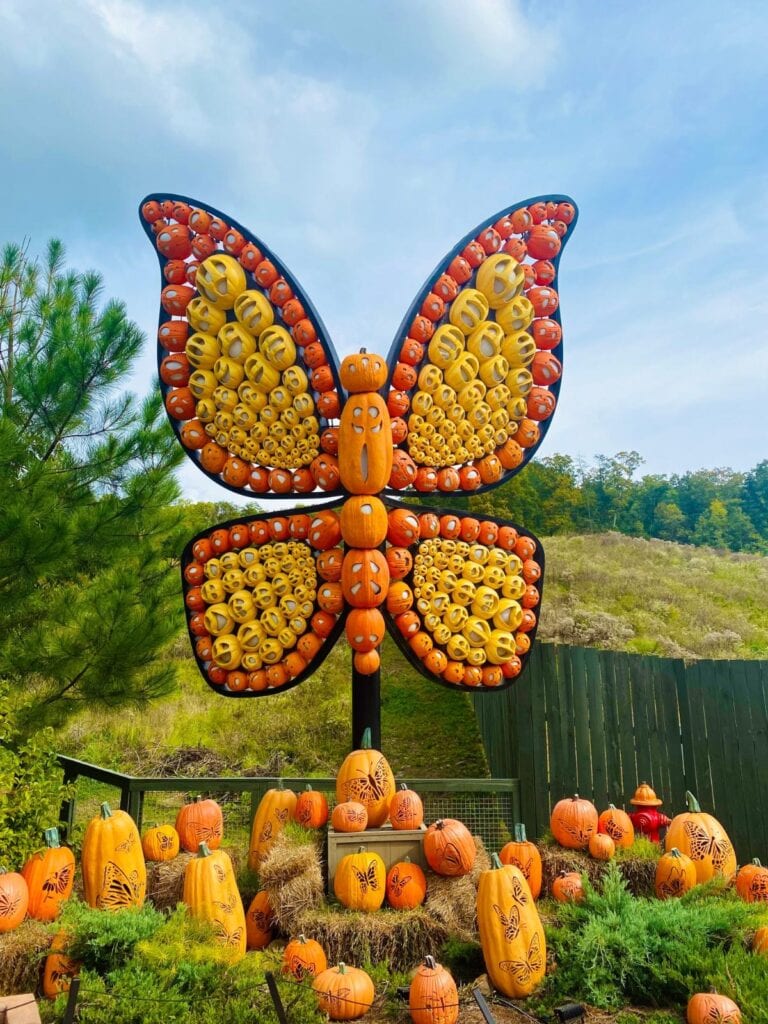 Large butterfly sculpture made from carved pumpkins at a seasonal display in Pigeon Forge.