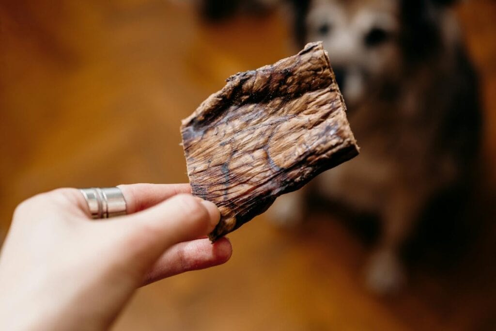dried meat dog chew
