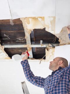 Person inspecting ceiling water damage and signs of mould after a leak.