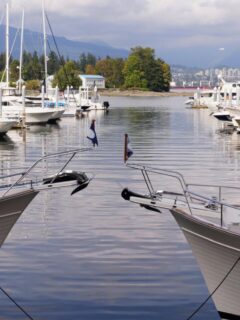 Boats moored in a Canadian marina with mountains and city skyline in the distance