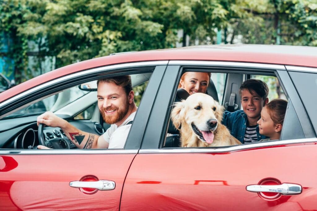 golden retriever riding with family in car