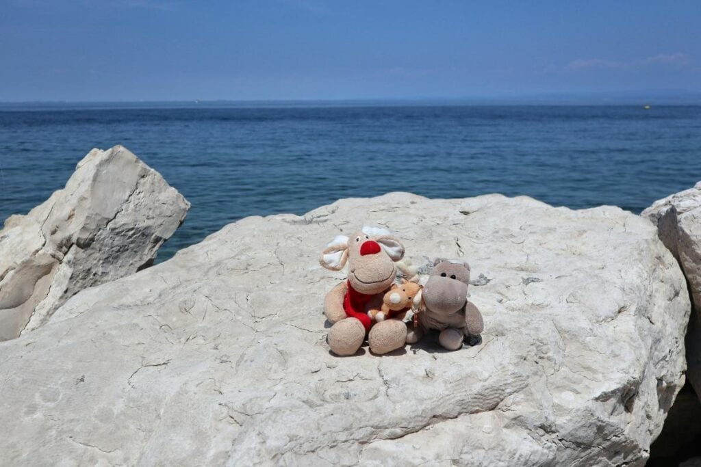 stuffed animals on rock at the beach