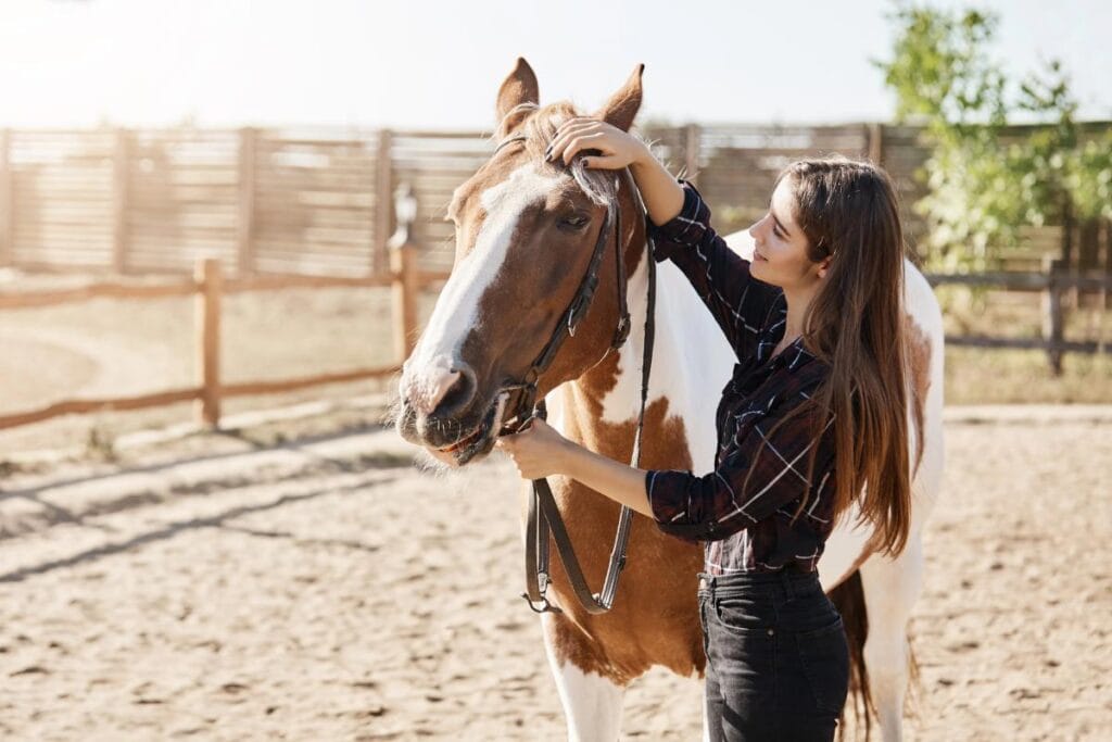 woman petting horse