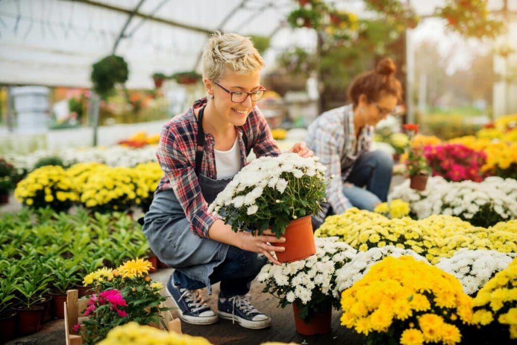 Garden center workers arranging colorful potted flowers in a greenhouse